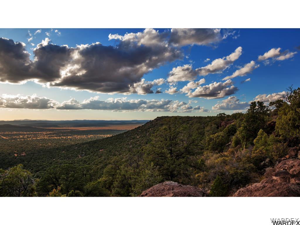0 Happy Rnch Road Seligman, AZ 86337 - Photo 5 of 16 Gallery Image 5