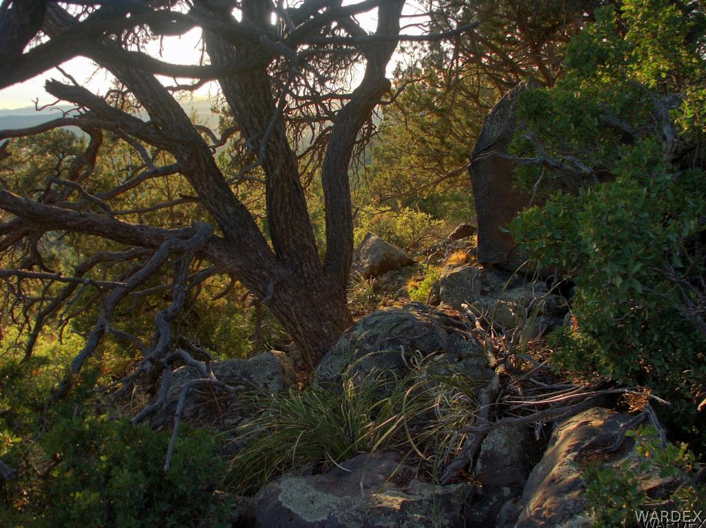 0 Happy Rnch Road Seligman, AZ 86337 - Photo 7 of 16 Gallery Image 7