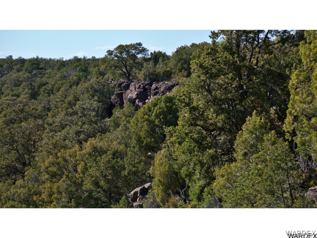 0 Happy Rnch Road Seligman, AZ 86337 - Photo 10 of 16 Gallery Image 10