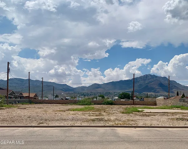 a view of a dry yard