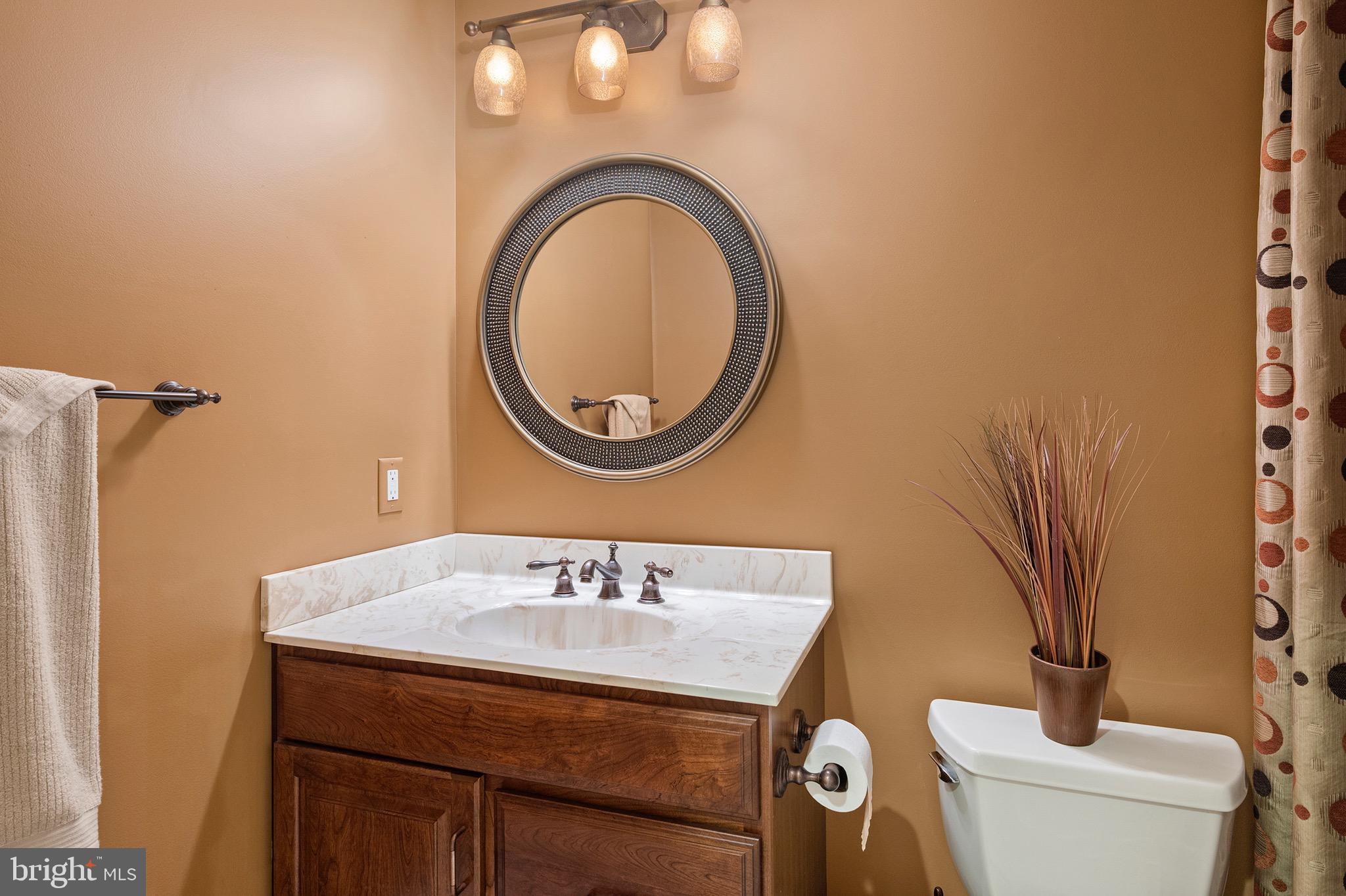 34 Colony Crossing Edgewater, MD 21037 - Photo 43 of 53 Lower Level Full Bath