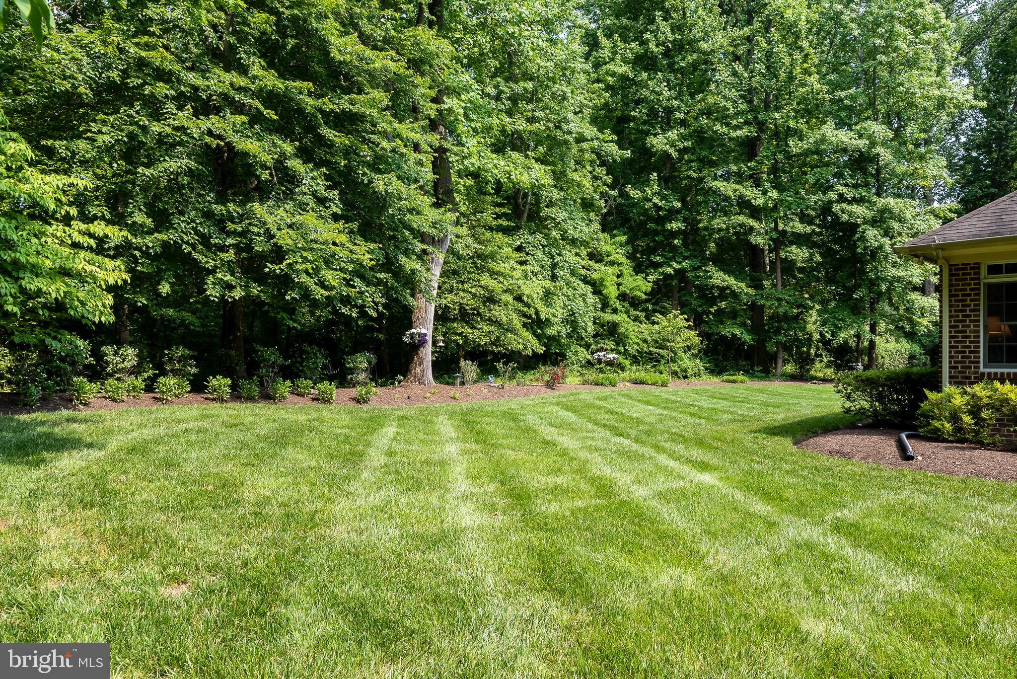 34 Colony Crossing Edgewater, MD 21037 - Photo 45 of 53 Lush Backyard