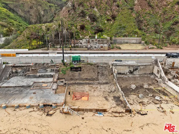 view of a yard with plants