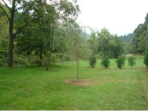 0 Roan Creek Road Mountain City, TN 37683 - Photo 1 of 1 Photo 1