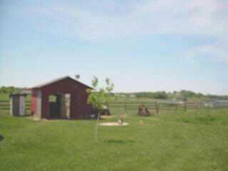 28187 Kime-Holderman Road Circleville, OH 43113 - Photo 7 of 7 Gallery Image 7