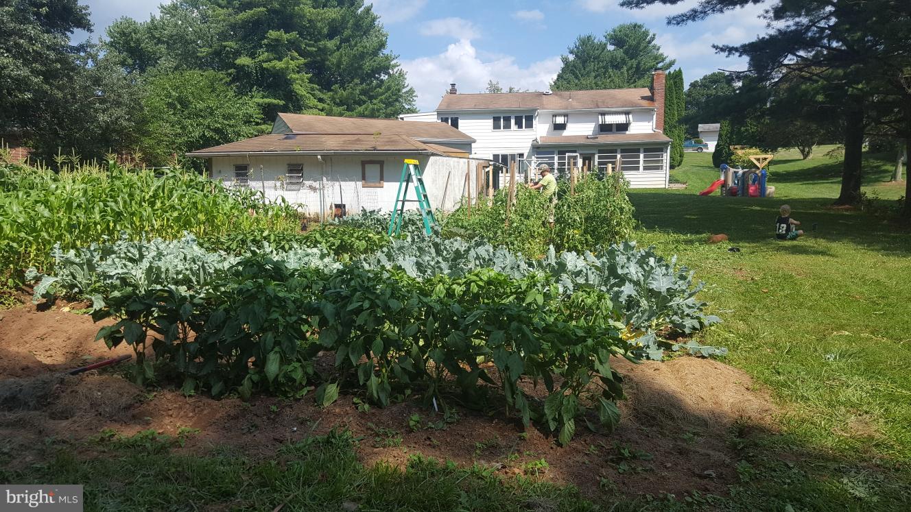 732 Lucabaugh Mill Road Westminster, MD 21157 - Photo 16 of 82 View from back portion of yard- Gardens, vegetable