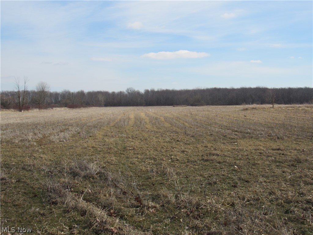 V/l Whitehead Road Lagrange, OH 44050 - Photo 11 of 12 Gallery Image 11