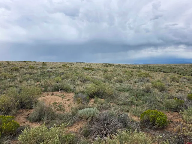 a view of a field with trees in background