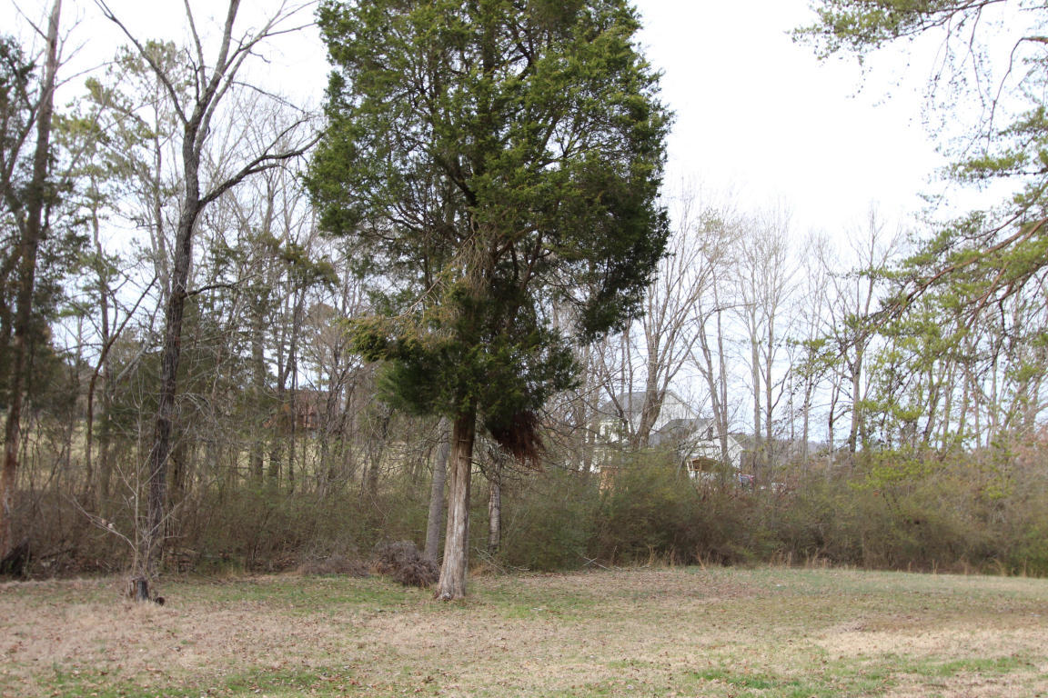 150 B Wells Road Powell, TN 37849 - Photo 11 of 14 view 3