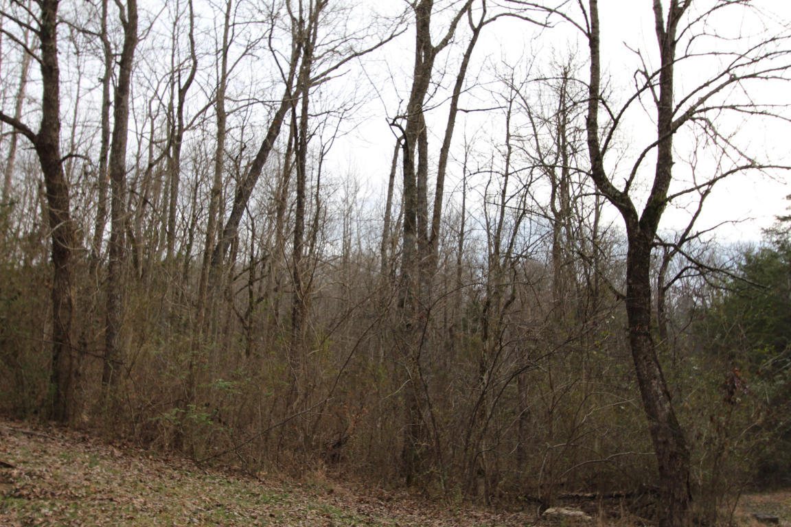 150 B Wells Road Powell, TN 37849 - Photo 14 of 14 View