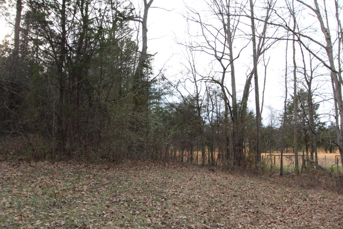 150 B Wells Road Powell, TN 37849 - Photo 10 of 14 view 2