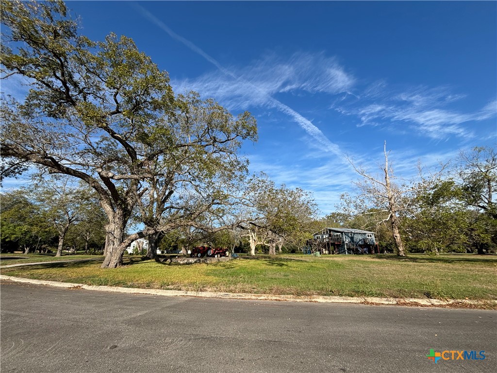 67 Hampton Drive South Seguin, TX 78155 - Photo 1 of 8 a view of a house with a big yard and large trees