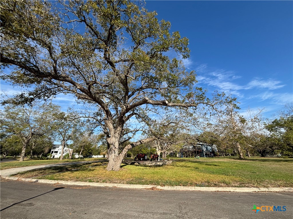 67 Hampton Drive South Seguin, TX 78155 - Photo 2 of 8 a view of a park that has a large tree