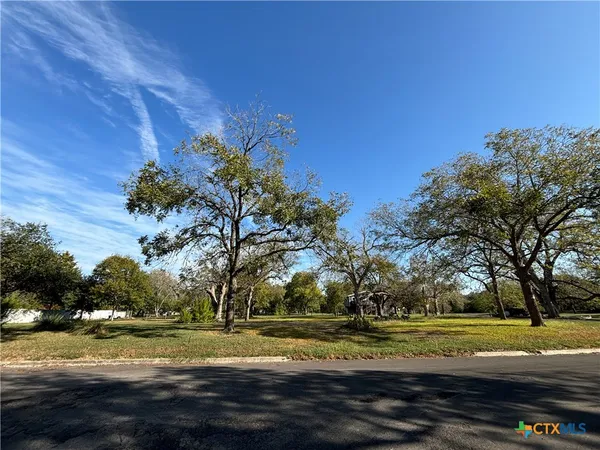 a view of a yard with large trees
