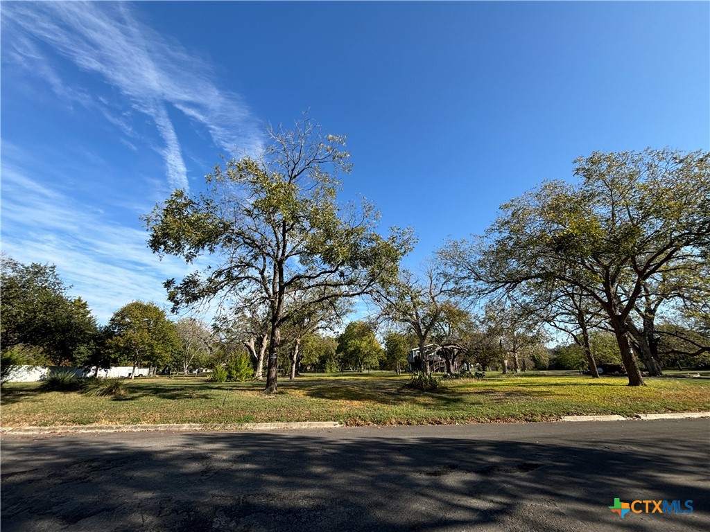 67 Hampton Drive South Seguin, TX 78155 - Photo 3 of 8 a view of a yard with large trees