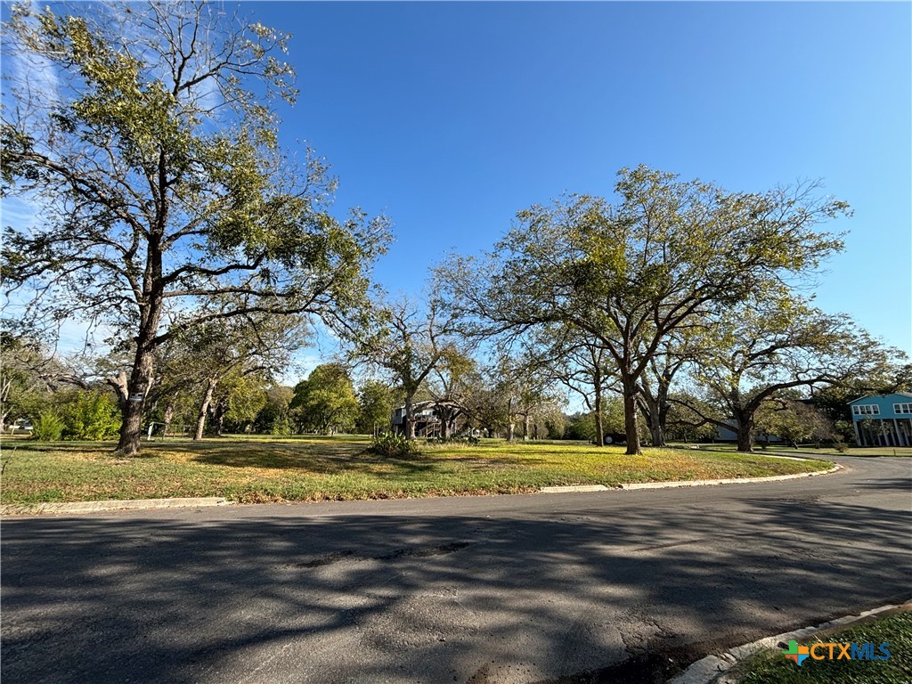 67 Hampton Drive South Seguin, TX 78155 - Photo 5 of 8 a view of road with yard