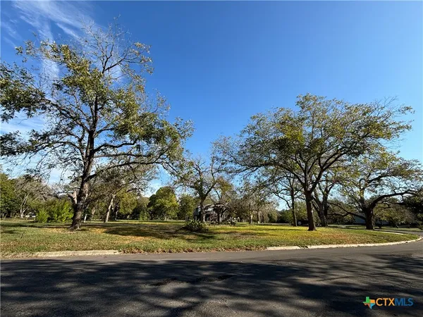 a view of large trees and outdoor space