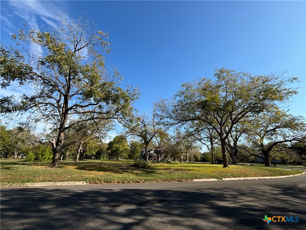 67 Hampton Drive South Seguin, TX 78155 - Photo 6 of 8 a view of large trees and outdoor space