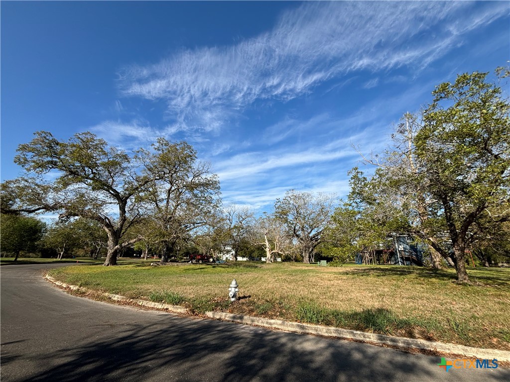 67 Hampton Drive South Seguin, TX 78155 - Photo 7 of 8 a view of a yard with large trees