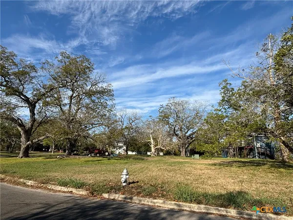 a view of a field with large trees