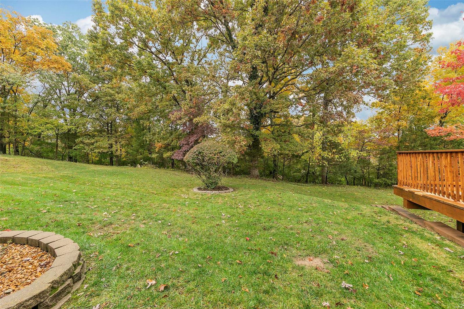 771 Windy Ridge Drive Ballwin, MO 63021 - Photo 39 of 42 Gallery Image 39
