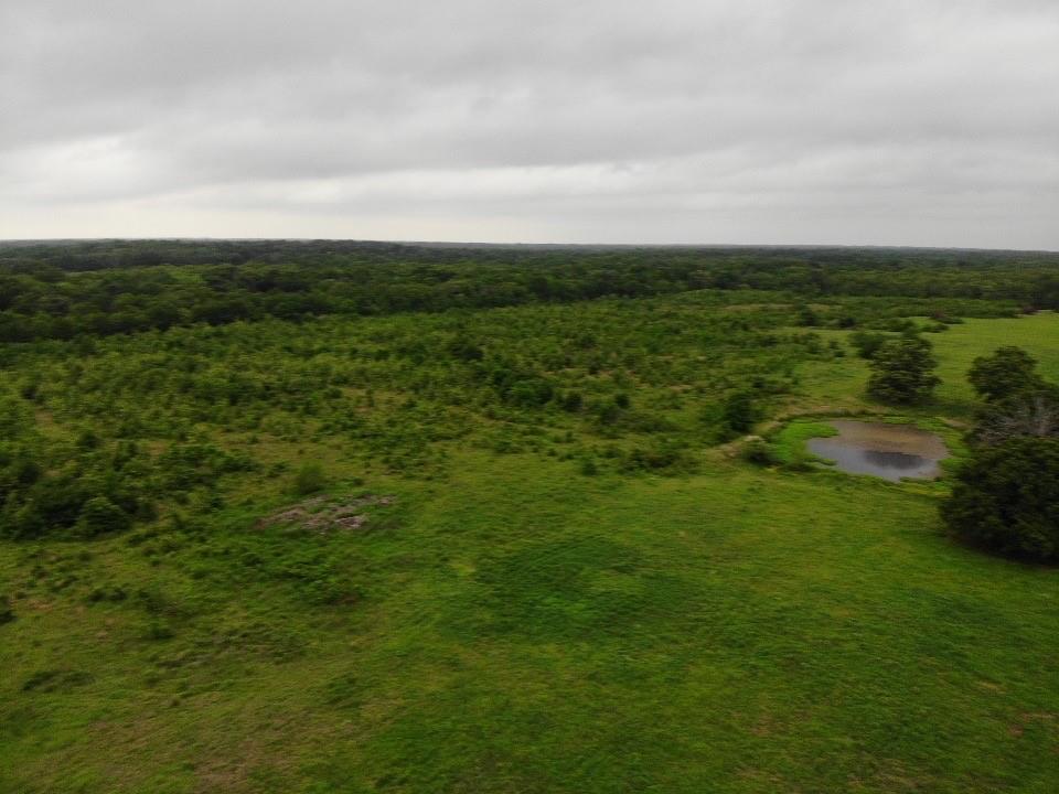 Lot 6 Rains County Road 2610 Alba, TX 75410 - Photo 1 of 16 a view of a field with an trees