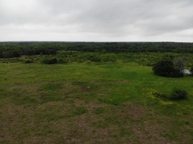 a view of a field with grass and trees