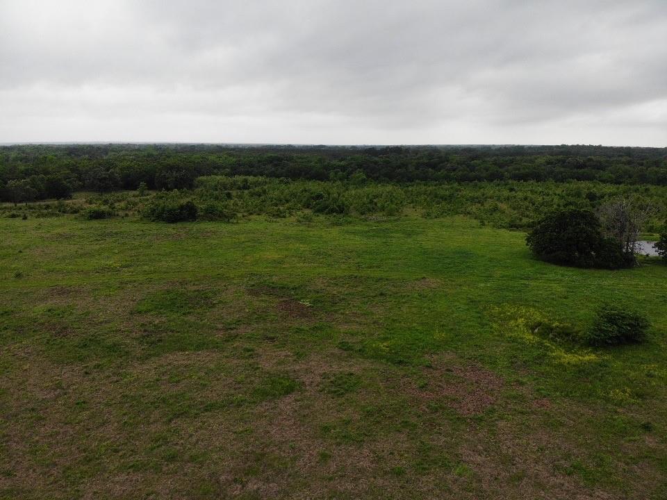 Lot 6 Rains County Road 2610 Alba, TX 75410 - Photo 2 of 16 a view of a field with grass and trees