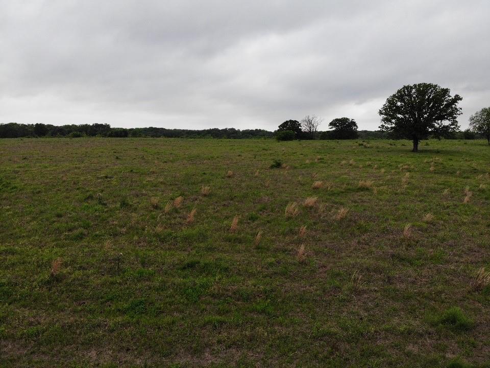 Lot 6 Rains County Road 2610 Alba, TX 75410 - Photo 3 of 16 a view of a field with an ocean view