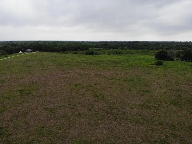 a view of a field with trees in background