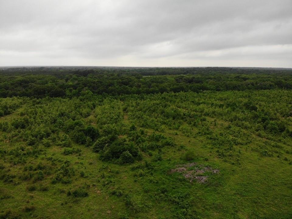Lot 6 Rains County Road 2610 Alba, TX 75410 - Photo 8 of 16 a view of a green field