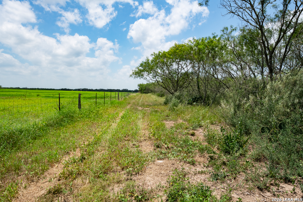 1393 Fox Trotter Road Seguin, TX 78155 - Photo 12 of 46