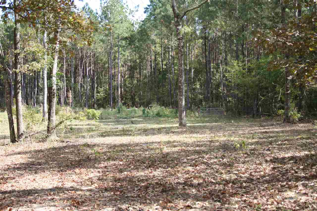 2425 Star Road Florence, MS 39073 - Photo 38 of 40 Photo 38