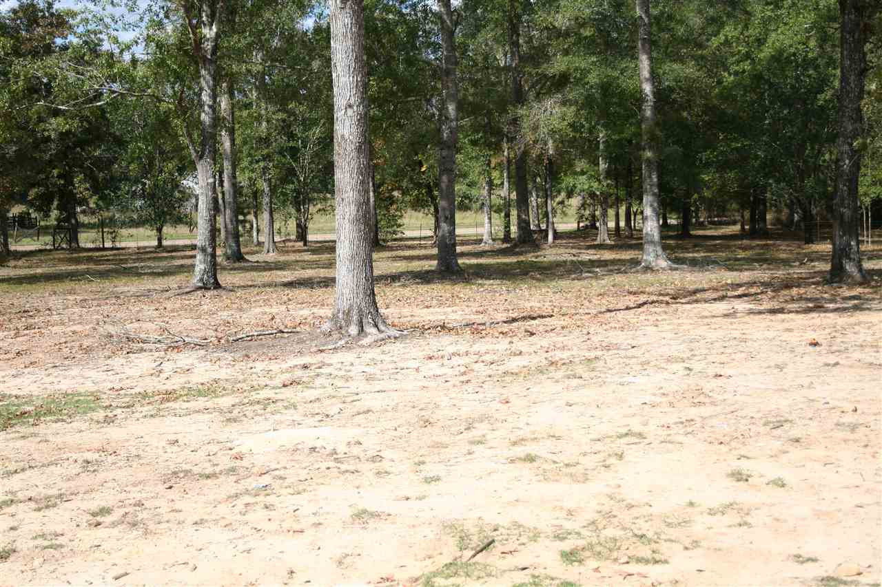 2425 Star Road Florence, MS 39073 - Photo 39 of 40 Photo 39