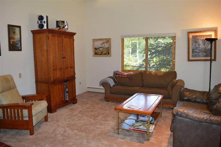 424 Porphyry Road Gypsum, CO 81637 - Photo 14 of 25 Additional Photo