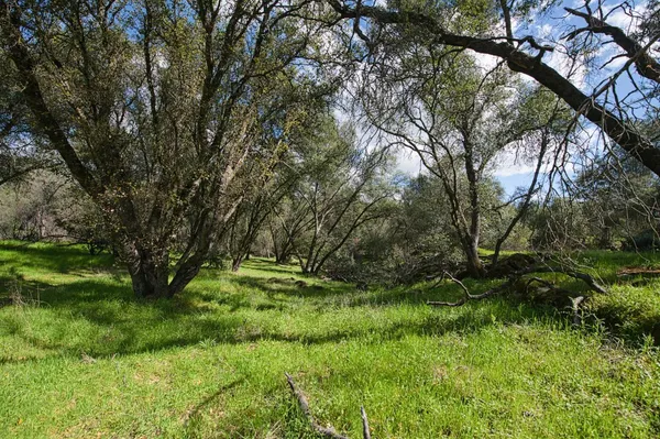 $549,000 | 4853 Daffodil Drive, Mariposa, CA 95338