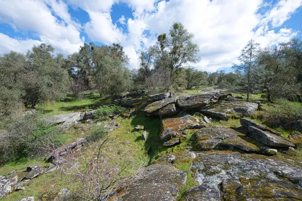 $549,000 | 4853 Daffodil Drive, Mariposa, CA 95338