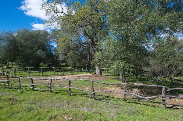 $549,000 | 4853 Daffodil Drive, Mariposa, CA 95338