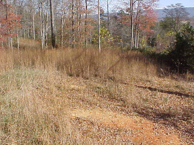395 Herron Road Dunlap, TN 37327 - Photo 4 of 8 Additional Photo