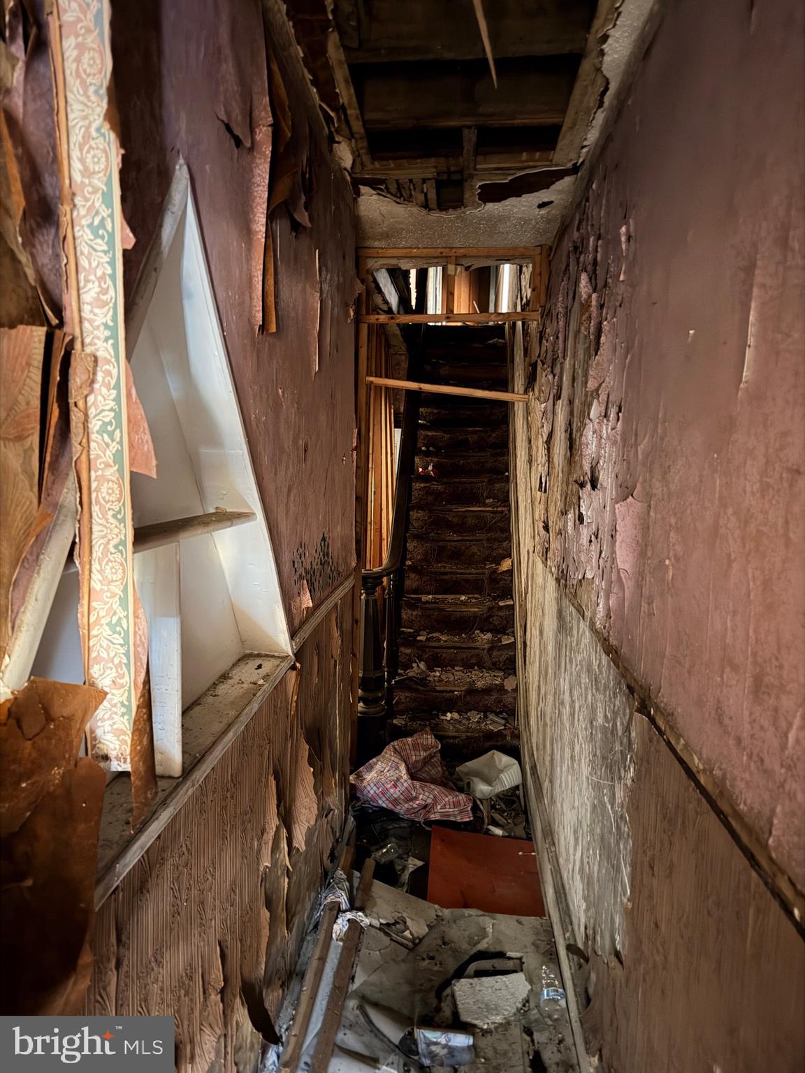 2716 East Lehigh Avenue Philadelphia, PA 19125 - Photo 3 of 7