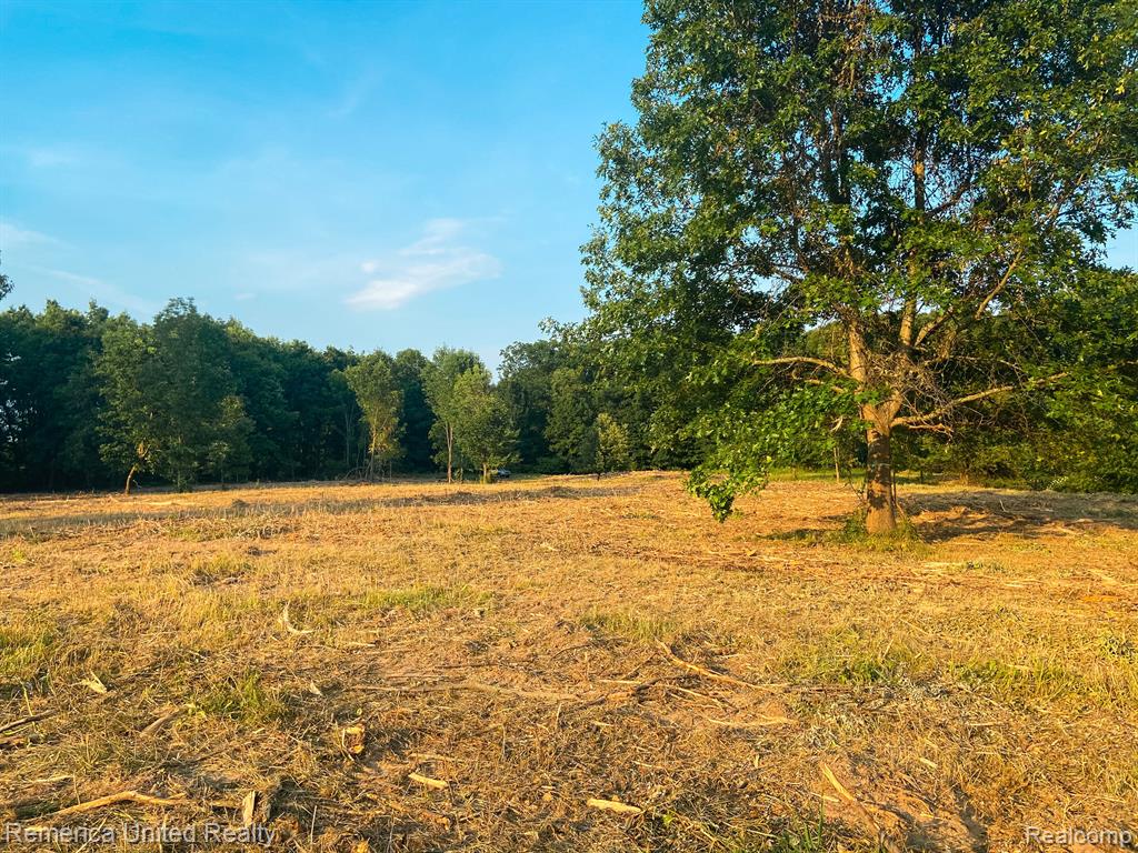 0 Fish Lake Road Holly, MI 48442 - Photo 10 of 17