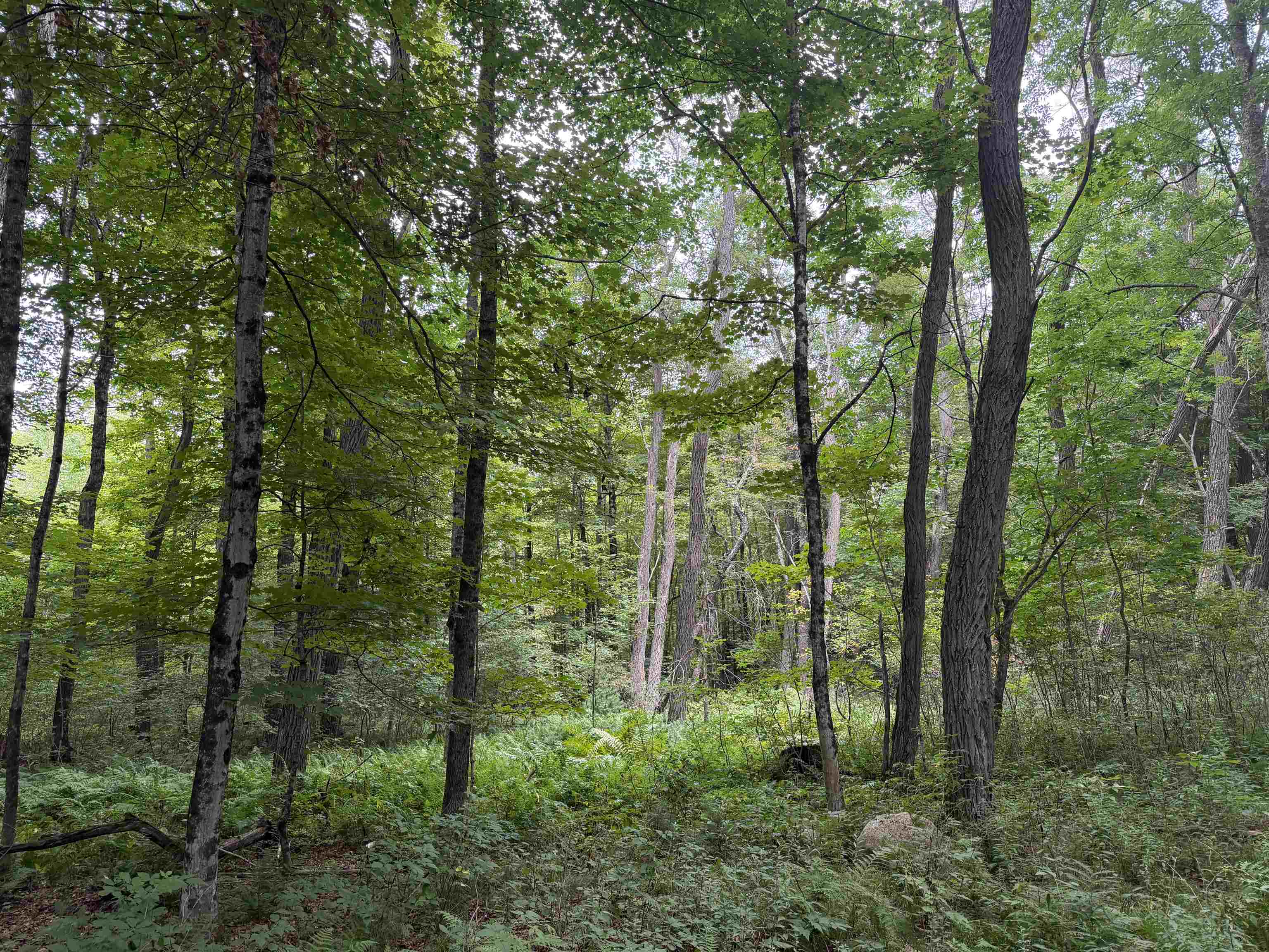 700 Taplin Hill Road Corinth, VT 05040 - Photo 7 of 7 Gallery Image 7