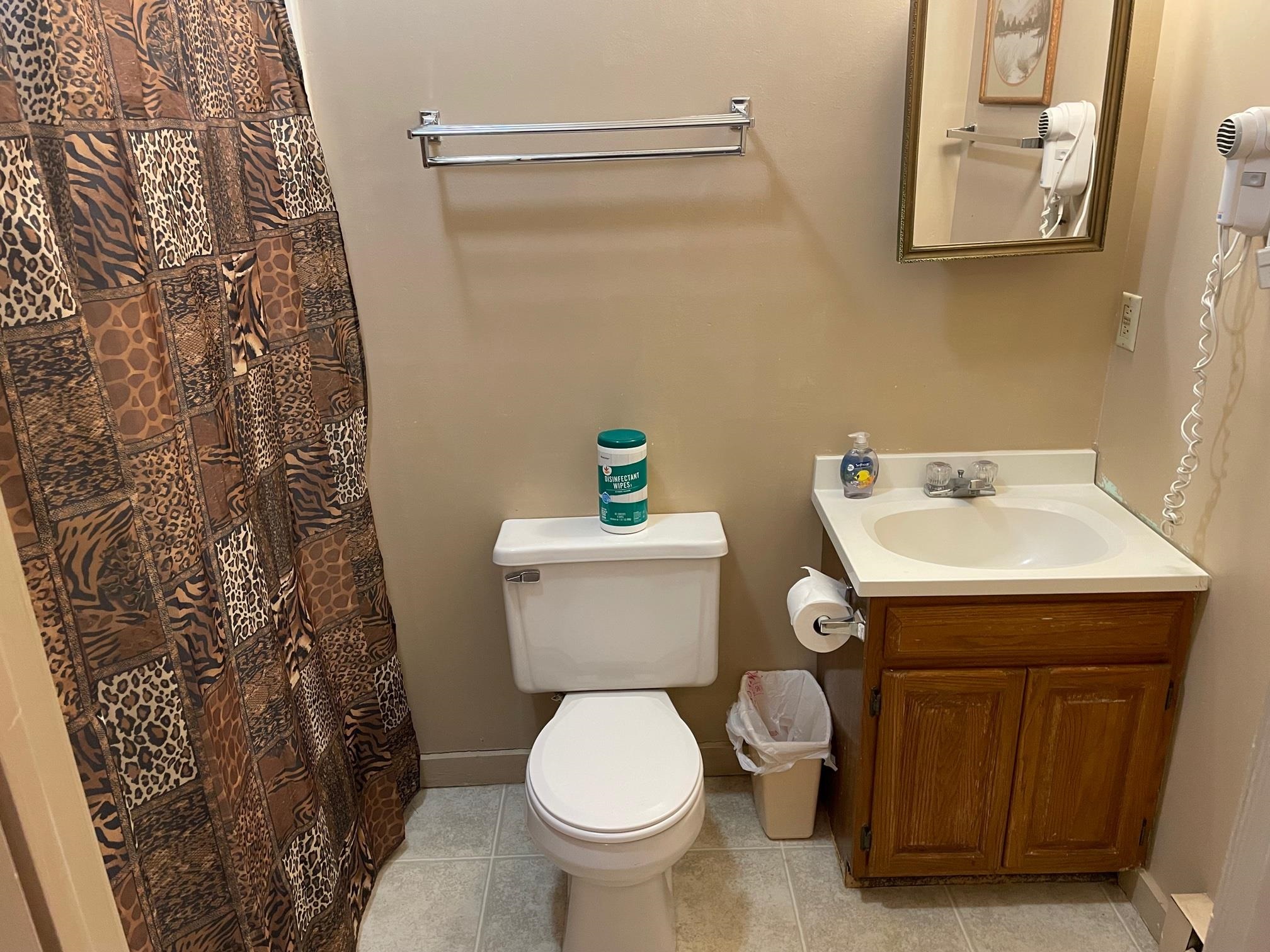 36 Lodge Road, Unit A306 Lincoln, NH 03251 - Photo 3 of 24 Gallery Image 3