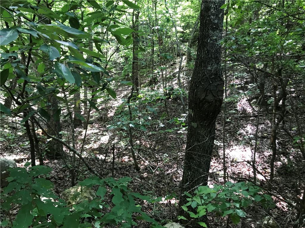 587 East Valley Road Northeast Rydal, GA 30171 - Photo 18 of 18