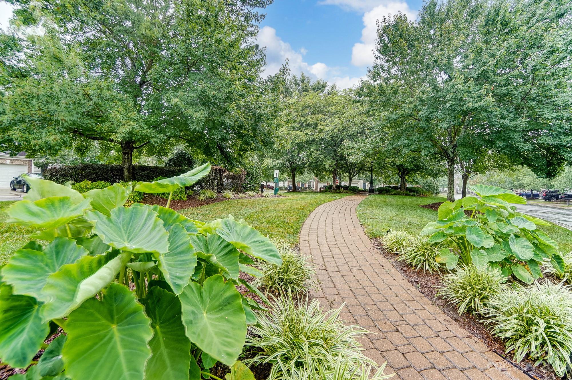 179 Snead Road Fort Mill, SC 29715 - Photo 6 of 48 a view of a park with plants and trees