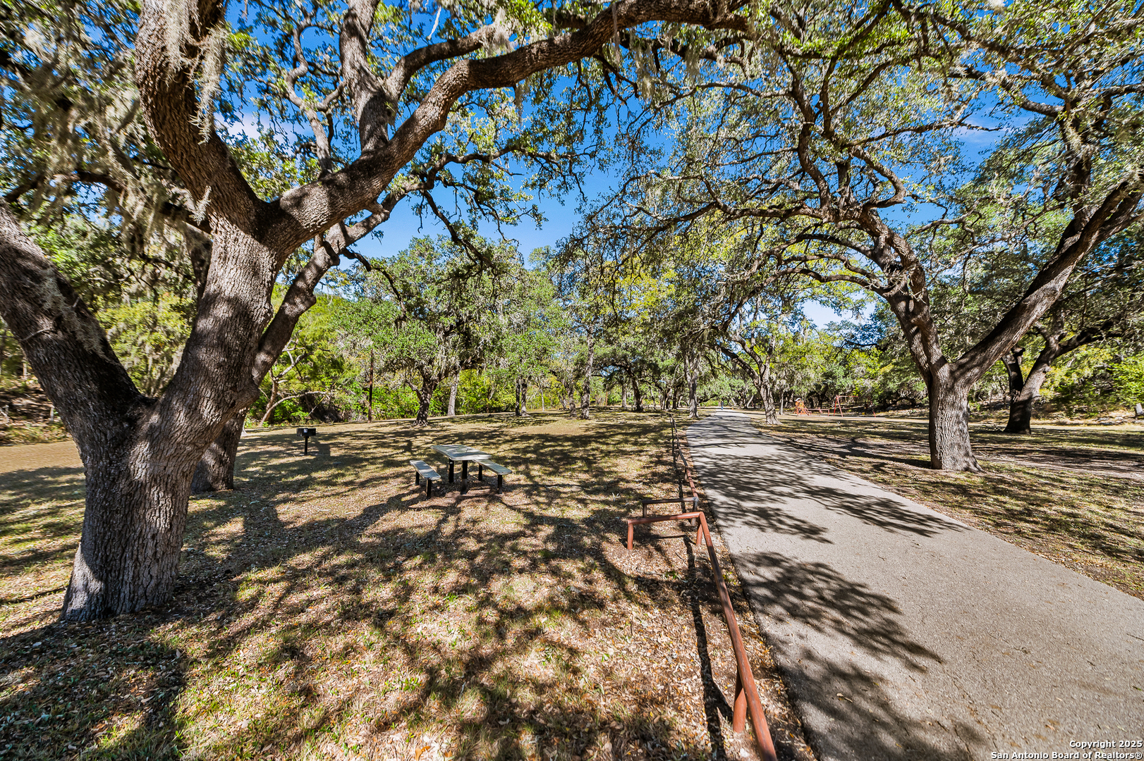 1230 Echo Meadow Lane Spring Branch, TX 78070 - Photo 27 of 31 a view of mountain view with large trees