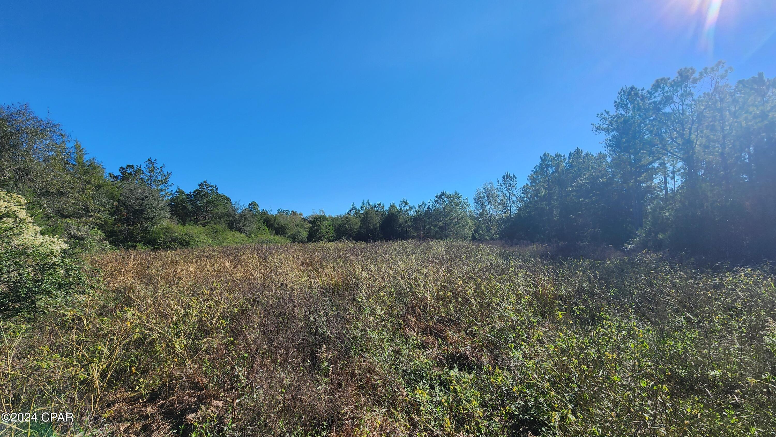 2597 Kynesville Road Cottondale, FL 32431 - Photo 23 of 27 Gallery Image 23