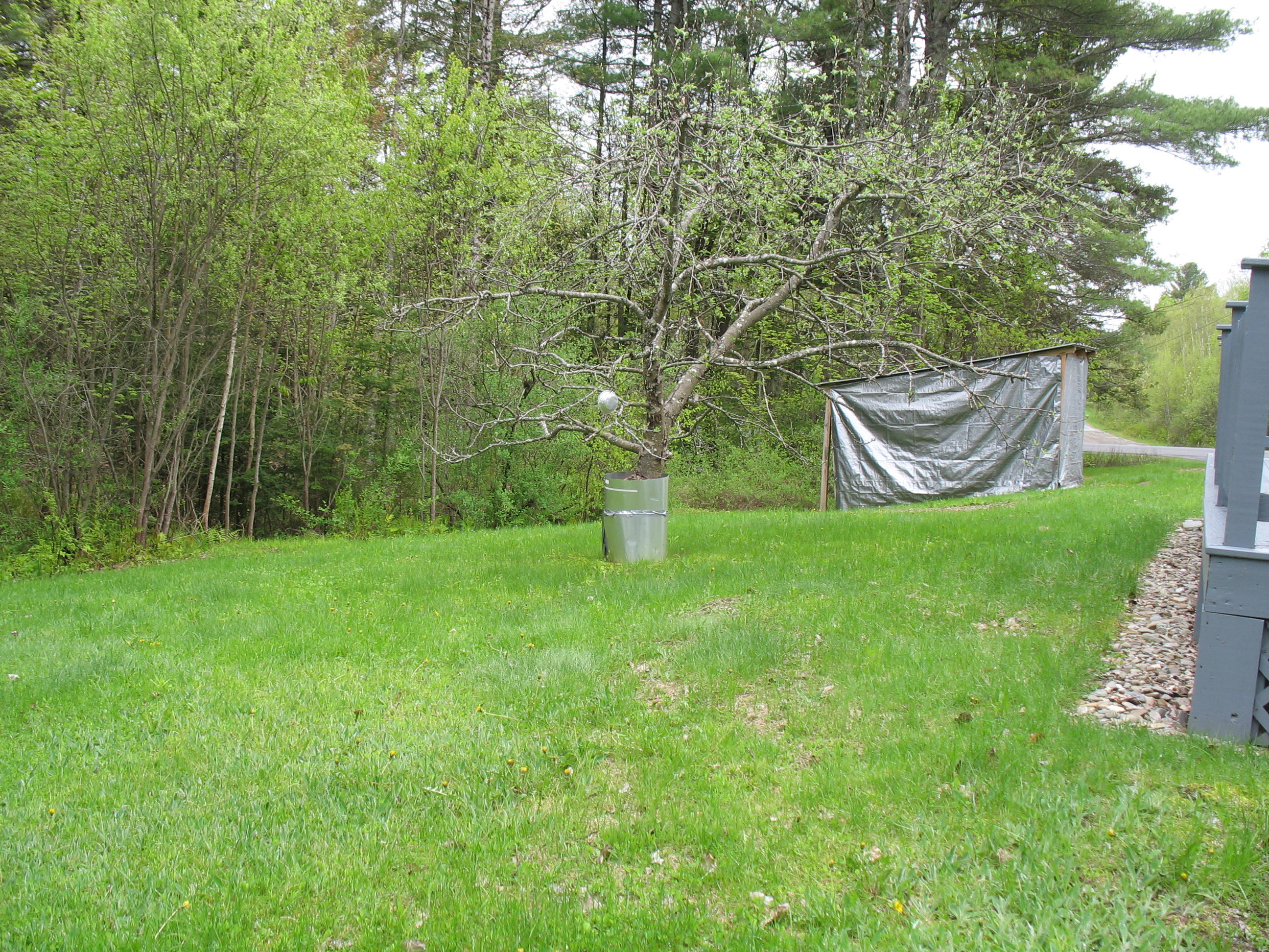 113 Shaw Road Dover-Foxcroft, ME 04426 - Photo 30 of 30 113 Shaw Rd. 038