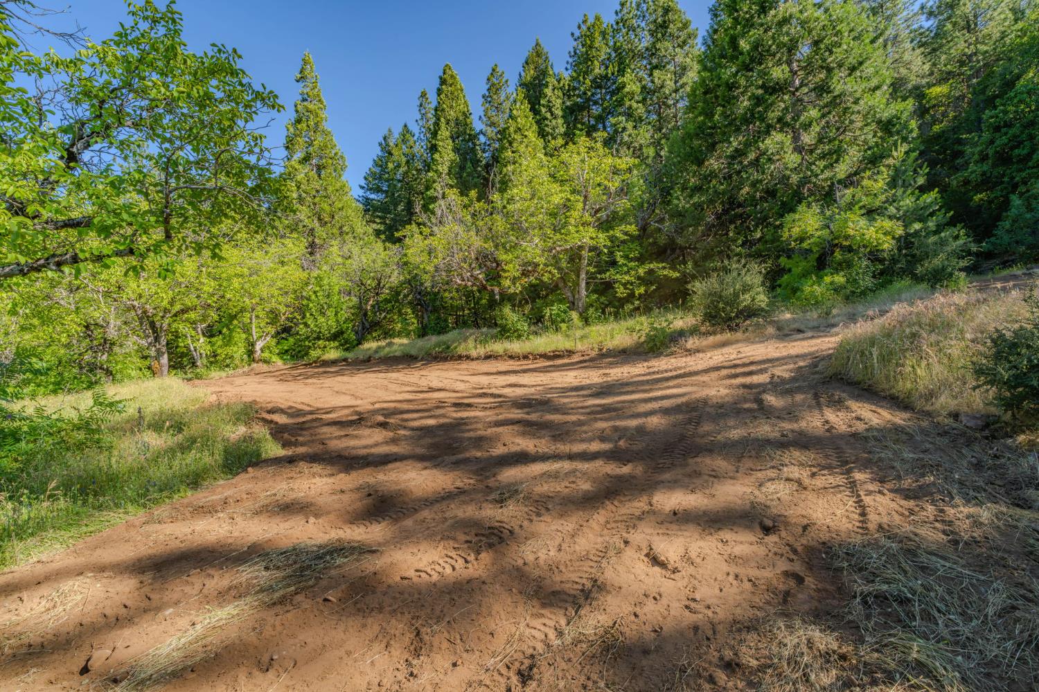 0 Schaefer Ranch Road Pioneer, CA 95666 - Photo 52 of 72