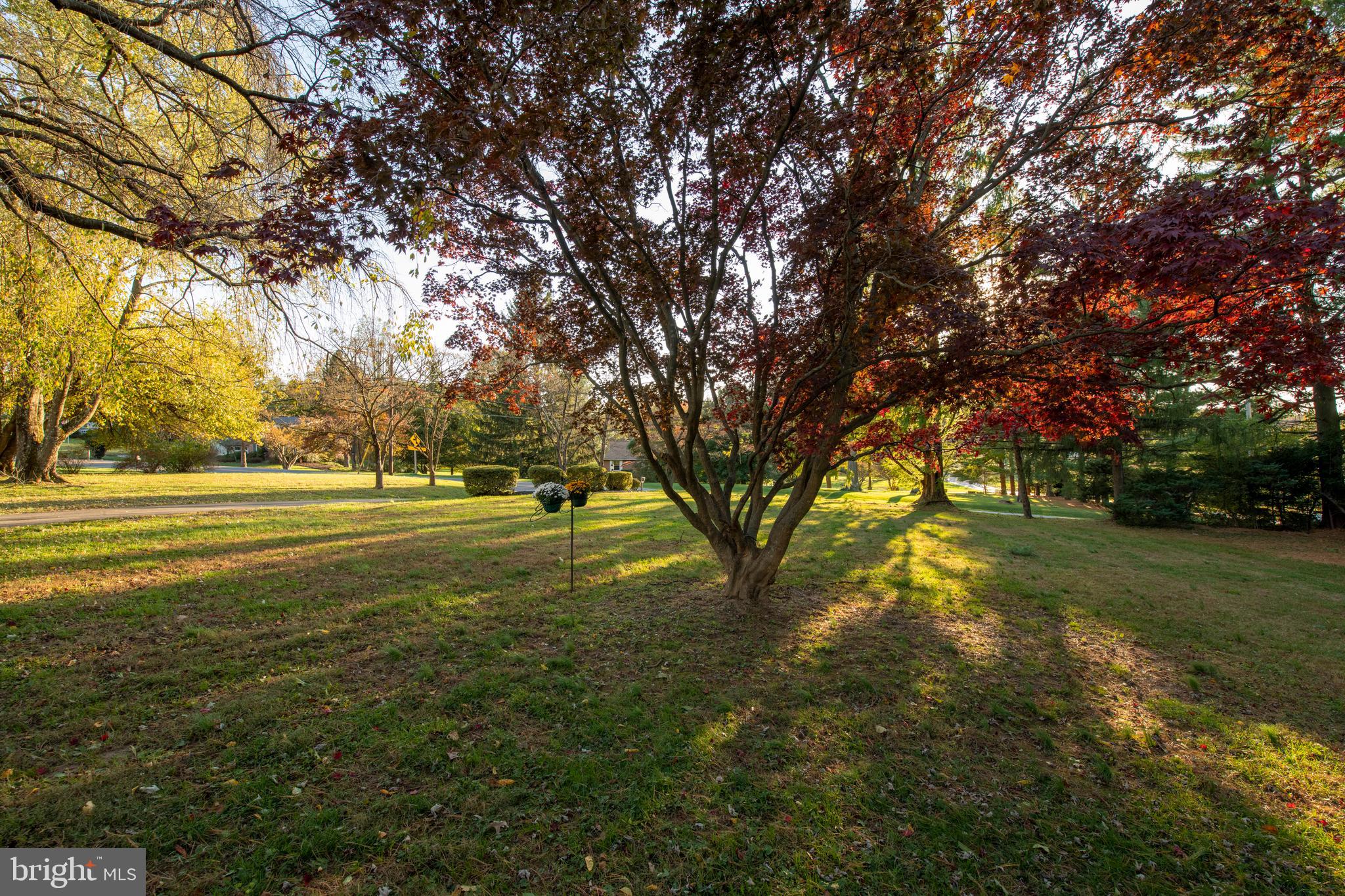 5000 Sweet Air Road Baldwin, MD 21013 - Photo 5 of 49 Front yard!